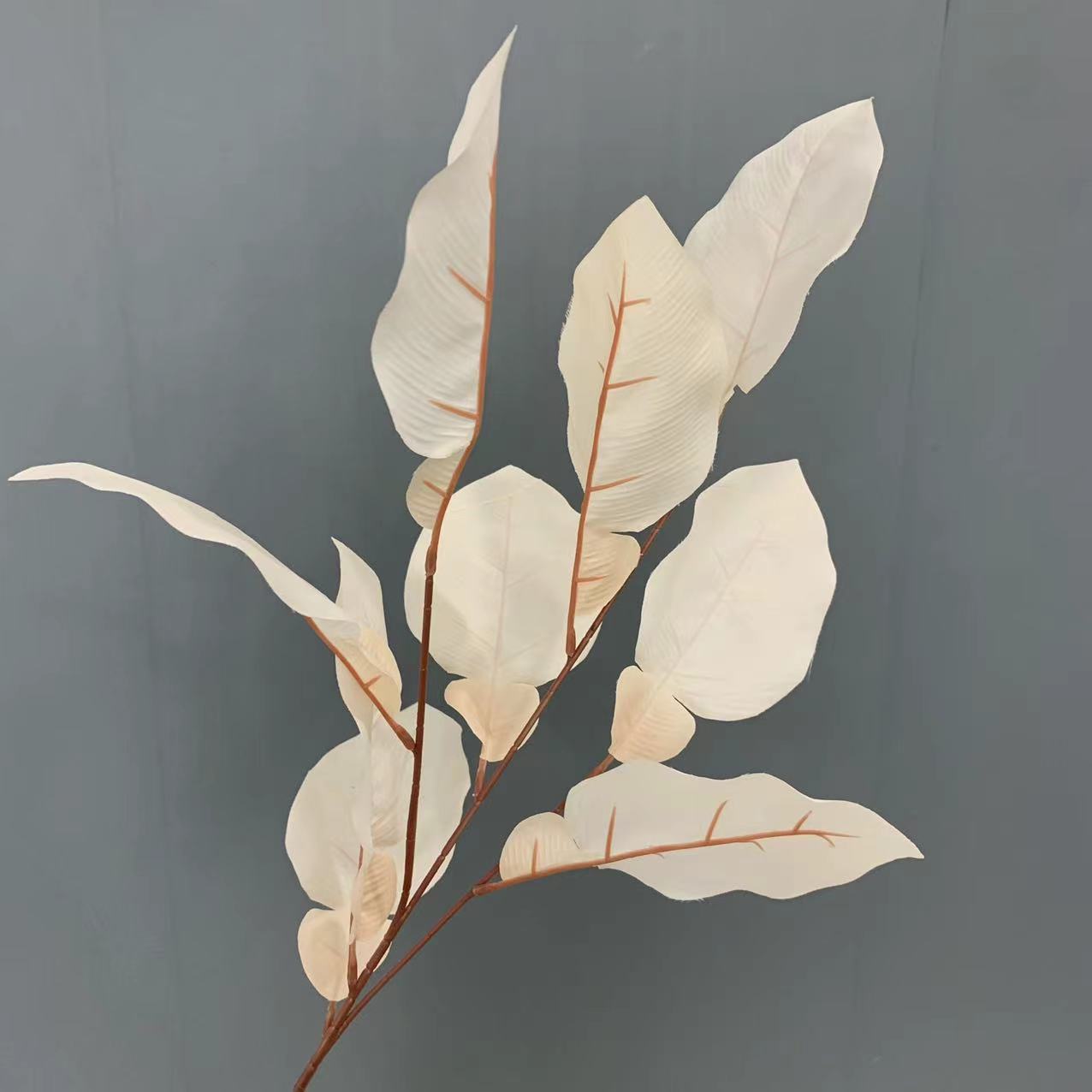 Grapefruit leaves-champagne