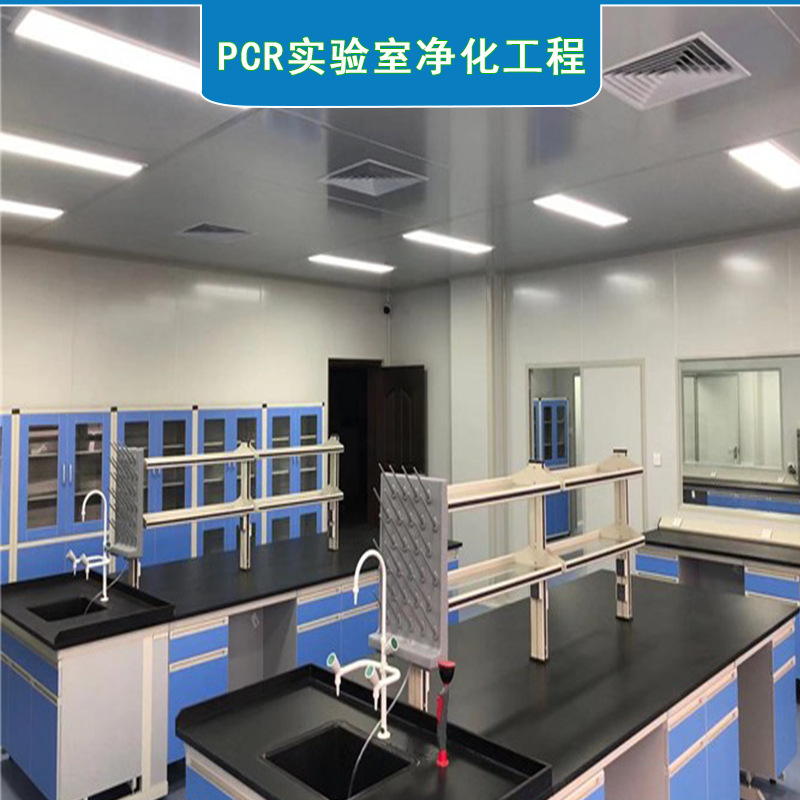 供应食品净化车间 电子无尘车间 实验室工程 洁净室装修工程