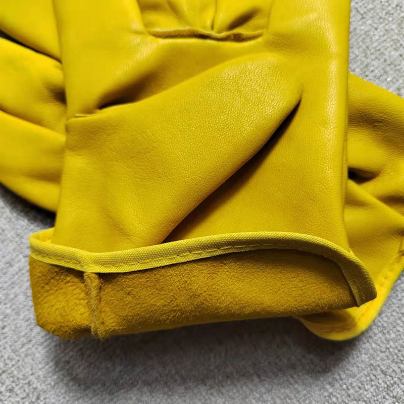 2022�ļ�ͨ�ú����ͱ�ţƤ���׽���������ҵ��ʿ������������