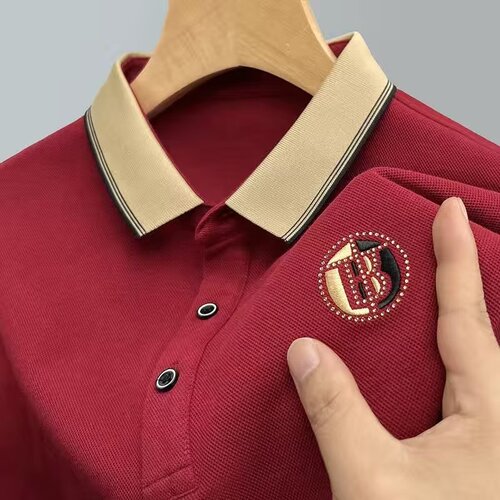 Spring New Cotton T-shirt Men's Long-sleeve T-shirt Autumn Collar Loose Large Size Casual Polo Shirt Dad's Style T