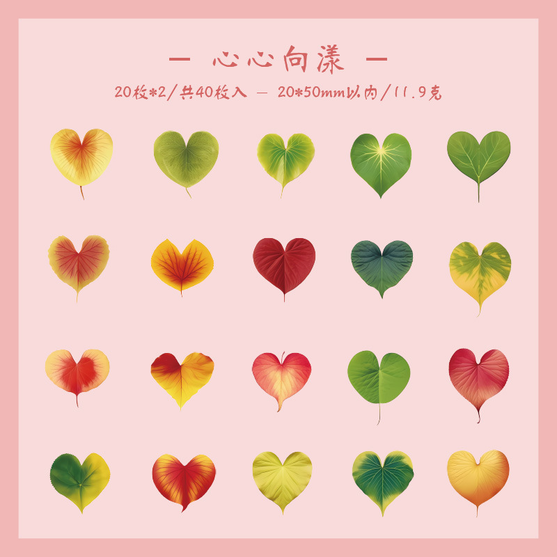 6 de corazón a corazón Yang