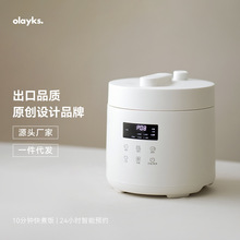 olayks欧莱克正版原创设计电压力锅家用小型迷你智能2.5L高压锅饭