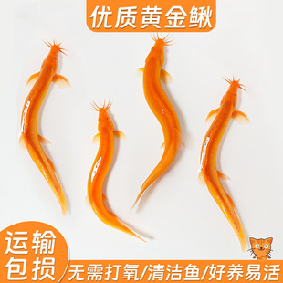 ��ˮ�S�����q���ɫ�坍�~�����������B�ͻ��¾����^�pС���~