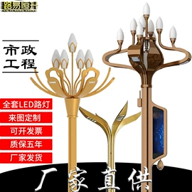 太阳能灯;庭院灯;道路照明灯