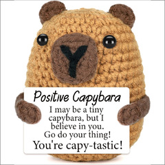 新品跨境亚马逊热销 Crochet Positive ca'p'y'barab毛线玩偶励志