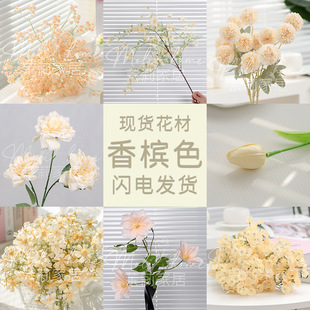 �㙉ɫ���滨������M����С�r��õ��ĵ������Ҿ�����ٻ����컨