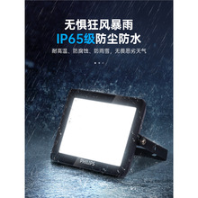 飞利浦LED投光灯BVP150明欣户外防水投射广告泛光室外大功率照明