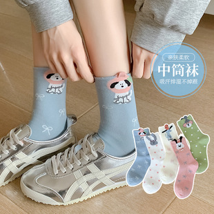 Ůʿ��Ͳ�m�����¿����͸��Ůʿ�m�� �n�泱����ͨ�ǹ�ɫ�m��