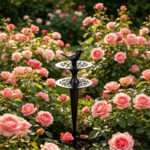 �羳��ɫ�U��С�B�ز�@ˇ�b��廨�@��ƺ�������ͥԺ�쾰�[��