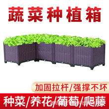 �̨�Nֲ��սǷN�����ӑ���GֲͥԺ������ϻ�����߲ˌ�������