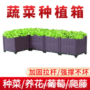 �̨�Nֲ��սǷN�����ӑ���GֲͥԺ������ϻ�����߲ˌ�������