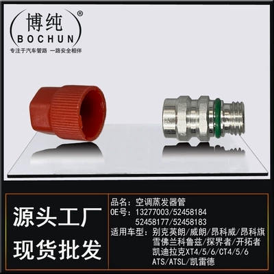 Suitable for Buick Hideo Chevrolet Cruze Cadillac Fluoride Nozzle Valve Core Air-conditioning Pipe High Pressure Maintenance Valve (Soyutma sisteminin digər hissələri) - 1327700352458184