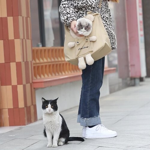 Cat bag cross-border wholesale pet bag cat outing bag portable bag pet backpack cat bag cat bear backpack