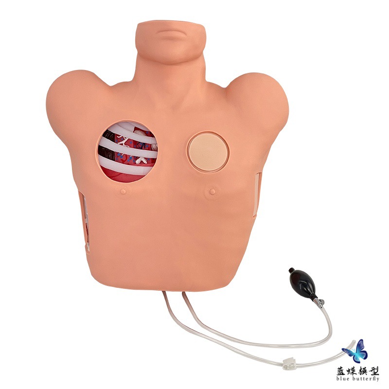 ��ǻ��ʽ����ģ�� ��ǻ����ѵ��ģ�� ��ǻ���˺�������������ģ��