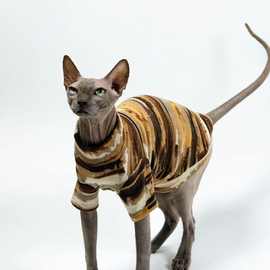 无毛猫衣服斯芬克斯夏季德文宠物春夏宠物猫打底冰丝条纹弹力背心