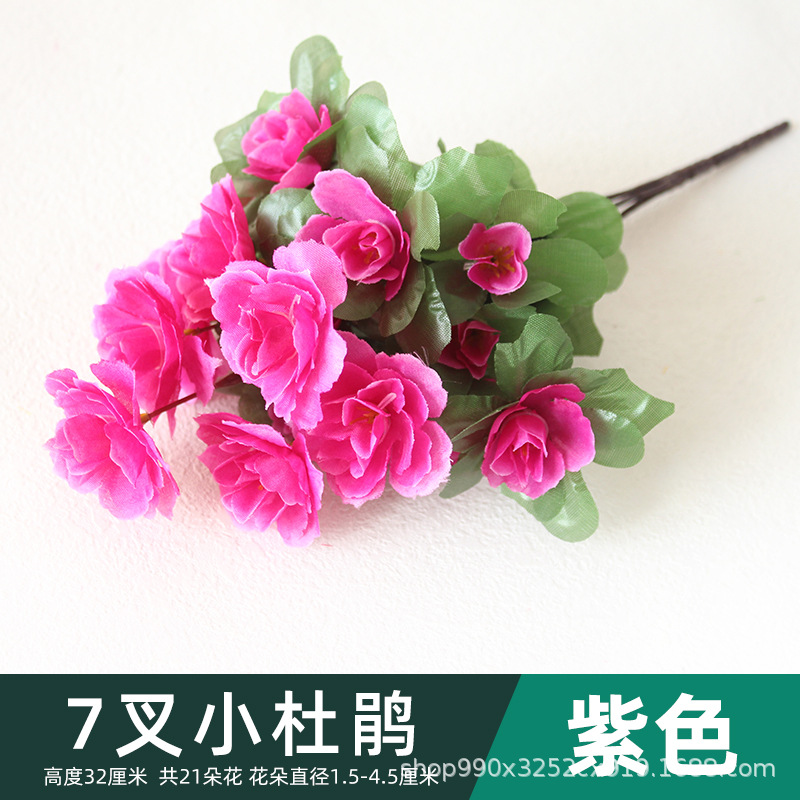 Púrpura-7-rama de cuco