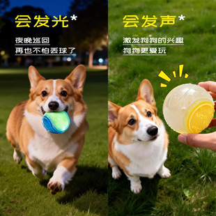 ҹ�⹷���������ҧ���z߅����ҧ��������ҹ����