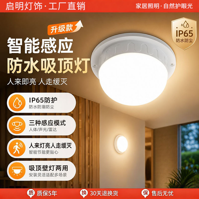 Intelligent Human Body Sensing Wall Light LED for Hallways, Corridors, Courtyards, Radar Sound and Light Control Automatic Sensing Three-Proof Ceiling Light Intelligent Human Body Sensing Wall Light LED for Hallways, Corridors, Courtyards, Radar Sound and Light Control Automatic Sensing Three-Proof Ceiling Light