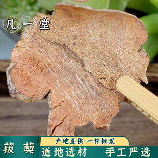 ����һ�á����ֵ����x�� ������ ������ ���ֱ�Ƭ�����ɟo�۰l؛