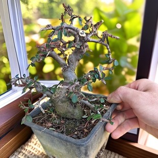 �����ͨ�׻������������~�ļ����G���ܾGֲ�辰����ֱ�l���辰