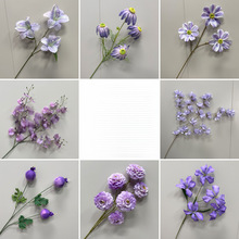 ¿cɫ滨߶˻Yӆ[Yõ픽̨·