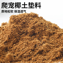 爬宠椰土垫料垫材乌龟蜘蛛蝎子爬虫角蛙蜗牛保湿土壤造景装饰