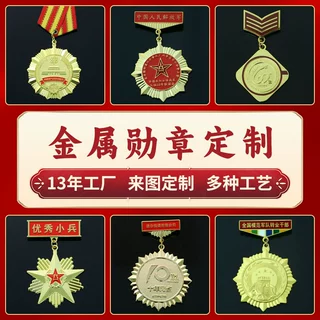 金属徽章定制优秀员工党员荣誉奖章勋章定做企业周年纪念胸针订做