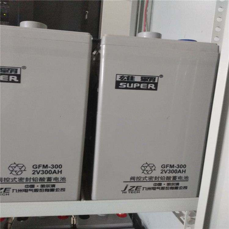雄霸九州蓄电池GFM-300发电厂机房EPS控制柜后备电源2V300AH