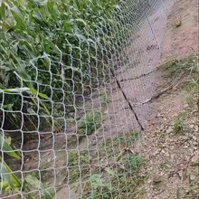 镀锌勾花网体育厂球场护栏网畜牧防护网林区防护网包树头铁丝网