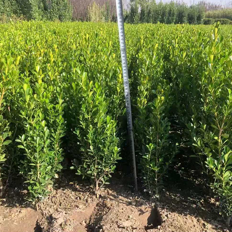 ���ӻ���2