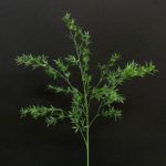 仿真绿植熊猫竹森系婚礼地排装饰绿叶橱窗造景打底叶材仿真熊猫竹