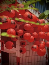 �Y��ϲ�ּ����\���b��r��ͥԺ��YԺ�ӌm���ٲ���鷿����̫��