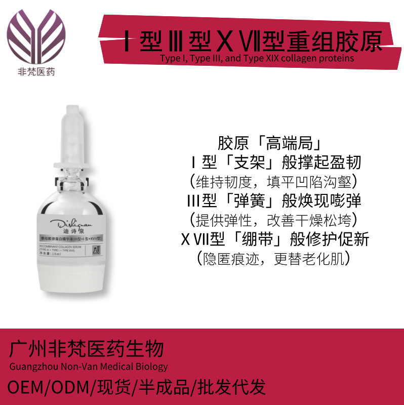I+Iii+Xvii Collagen Recombinant Protein Essence Liquid Filling Finished Product Wholesale Recombinant Collagen