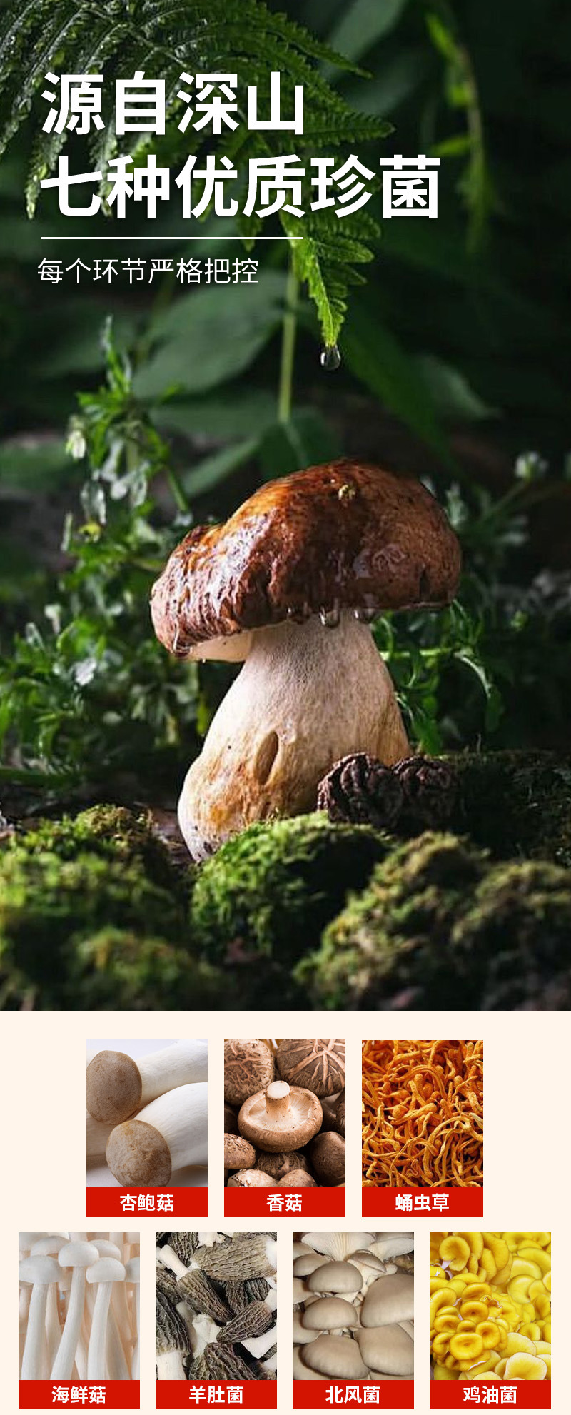 Yunnan Seven-Mushroom Soup Pack — Morel, Deer Antler Mushroom, Red Mushroom, Shiitake & Cordyceps Flower quality and texture