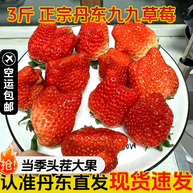 Special Price for Fresh Large Strawberries: Dandong 99 Milk Strawberries, Fresh 99 Red Strawberries, Shipped by Sf Express