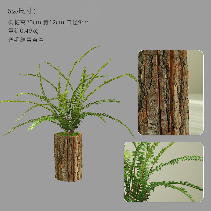 나무껍질 화분 - 높이 20cm, 긴 가지와 페르시아 잎