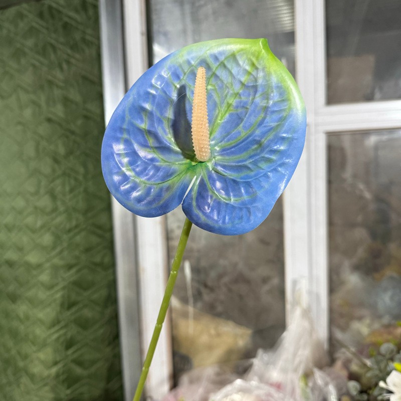손바닥