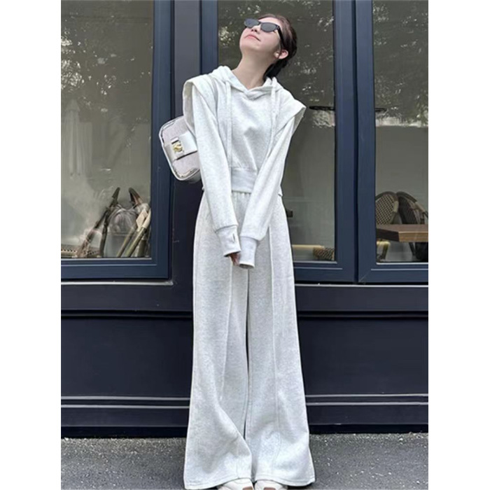 001 Herfststijl Sportkleding Dames, Losse pasvorm, Hoodie Sweatshirt, Modieuze Wijde Broek Tweedelige Set Voor Dames_voghion.com