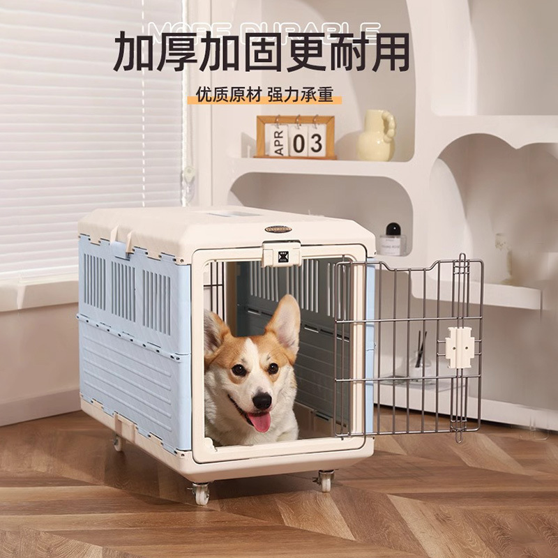 O1CN01au0Nz12IOSrgO9tVy_!!9731