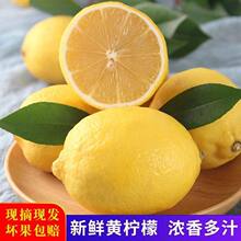 �Ĵ������S�������rˮ���̲��Ƶ����lƤ����֭�ǟo�љ���