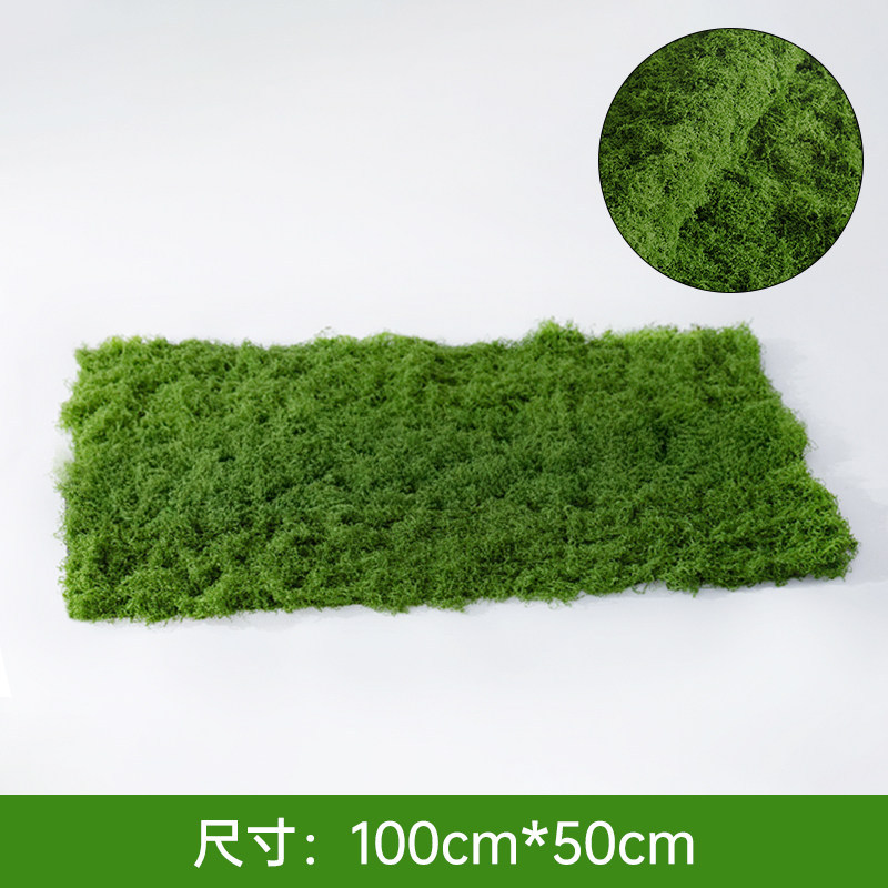 Filamentous moss dark green turf [100cm*50cm]