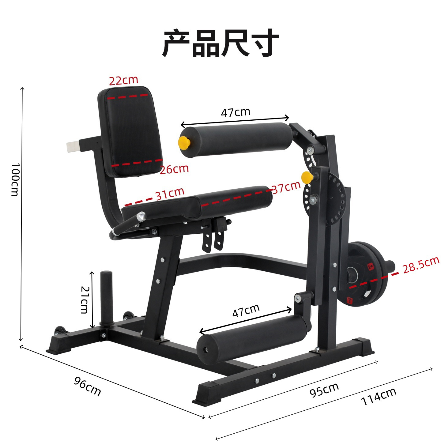 entrenador muscular