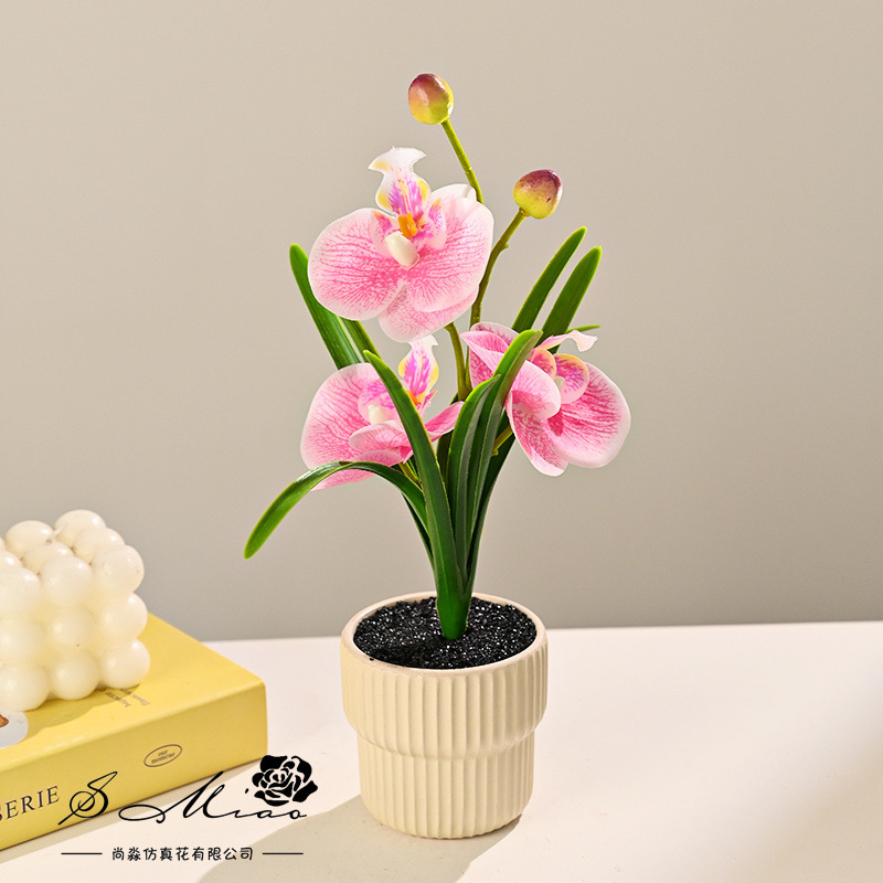 Tres flores y dos frutas orquídeas mariposa sensación de mano simulación pequeña decoración del hogar bonsai fotografía flores artificiales boda flores falsas adornos pequeños