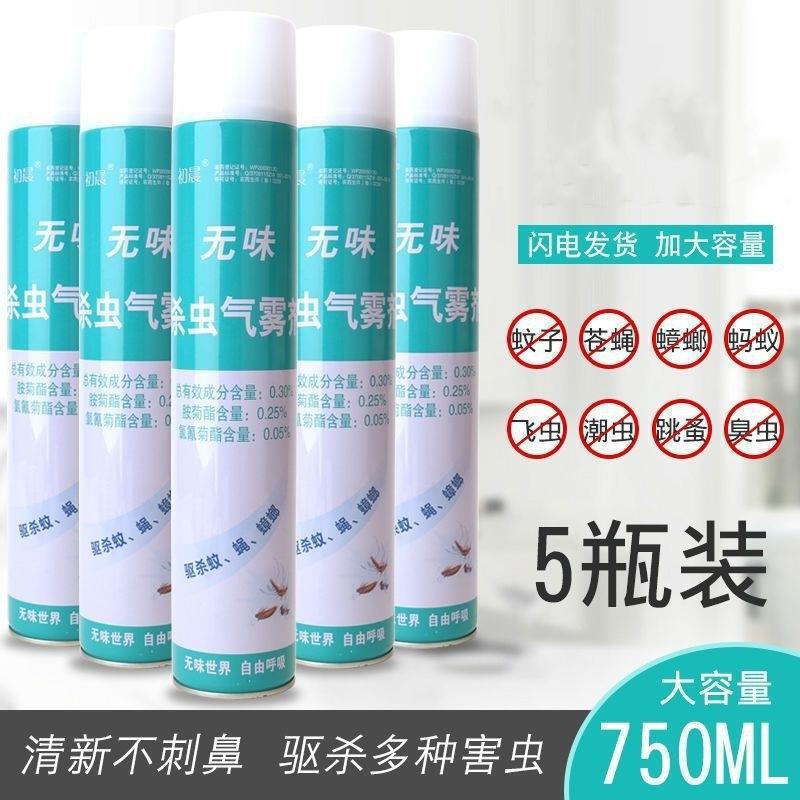 Insecticida aerosol doméstico spray insecticida mosquito mosquito al por mayor inodoro