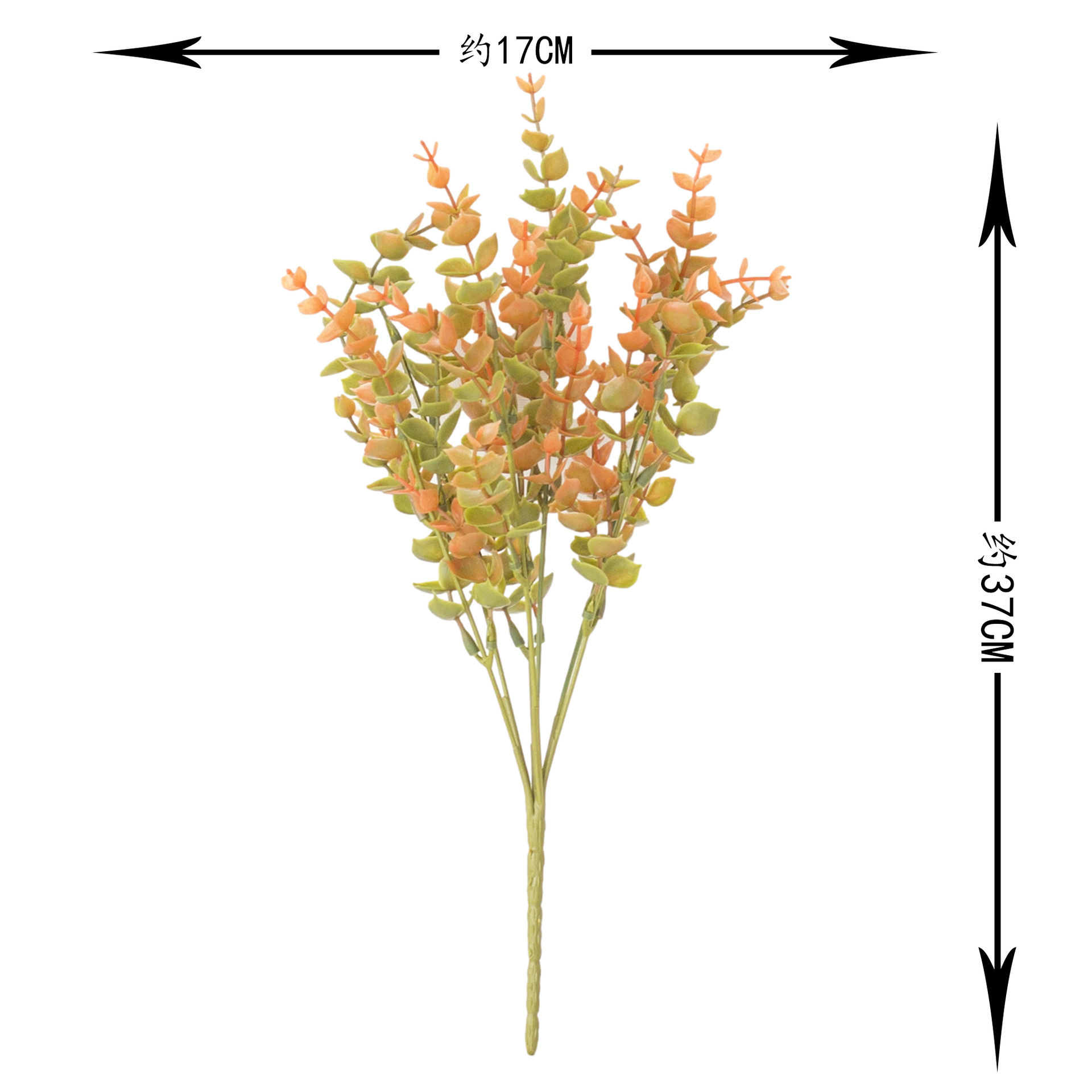 7 중형 유칼립투스 - 가을 빨간색