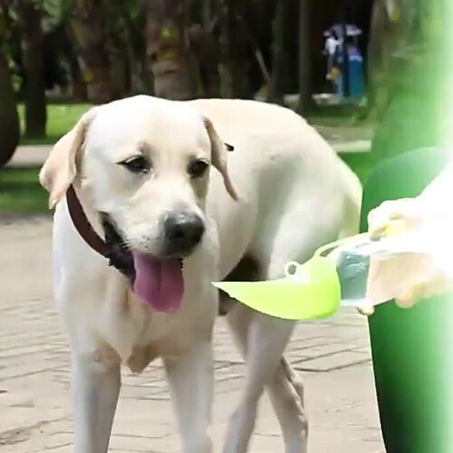 Xup water and food cup, dog outing cup, portable pet water dispenser, dog walking cup, two-in-one dog water bottle