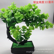 �S�����l�����辰���ϻ�����С�����b������ֲ��