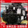 三一康明斯工程qsk23发动机