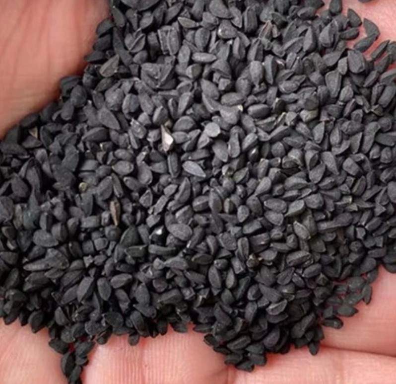 Black Cumin Seeds (Nigella sativa) — Dried Food Herb, 500g Bulk Herbal Seed quality and texture