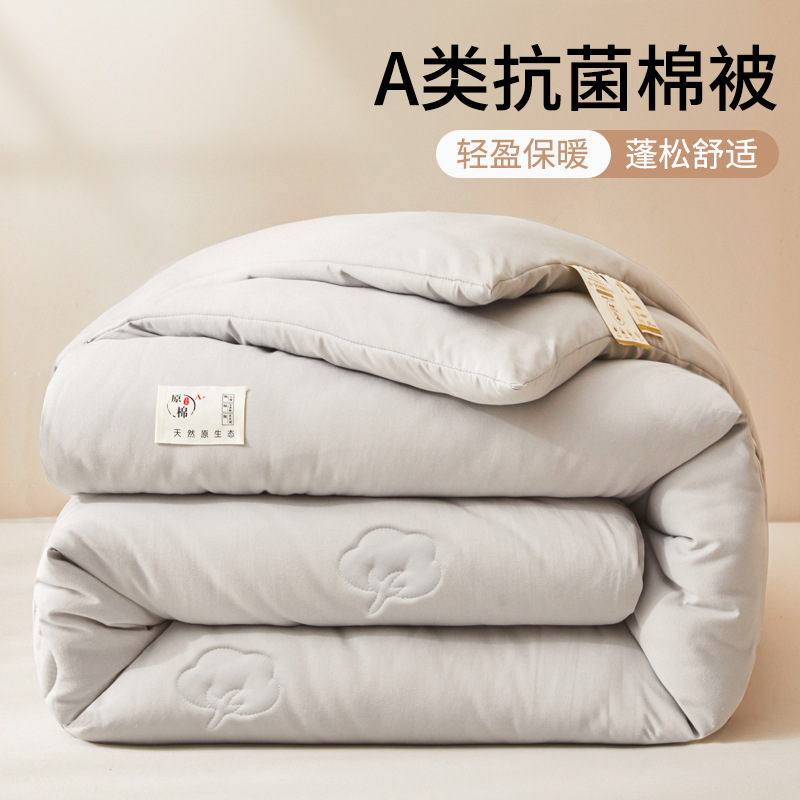 Quilt de algodón de invierno de Xinjiang es grueso y caliente para dormitorios de estudiantes de primavera y otoño, colchón de cama general para cuatro estaciones